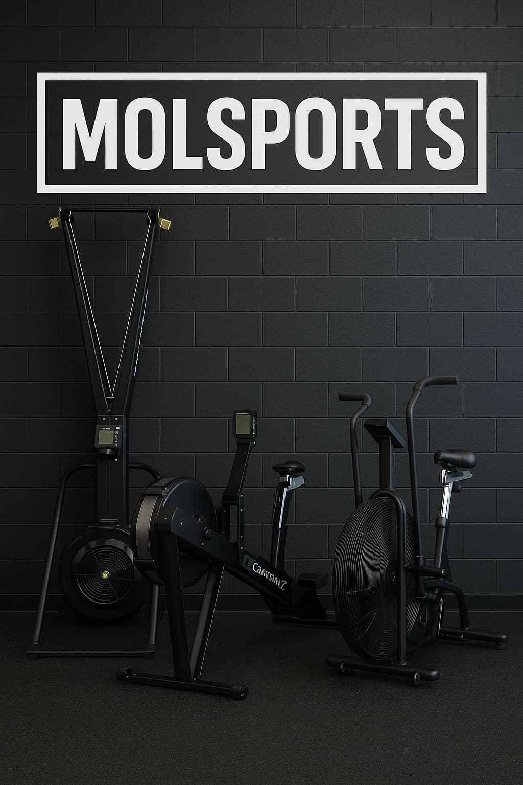 HIIT bij MOLSPORTS in Delft